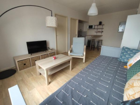 Charmant appartement - 5 mn Zoo de Beauval 4p